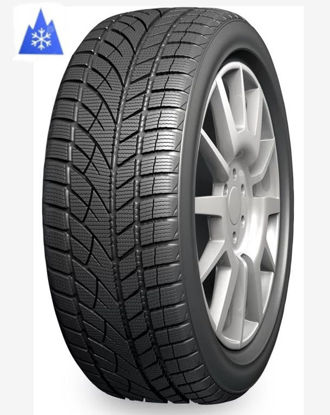 Picture of 225/45R17 Evergreen EW66